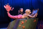 De activiteit 'de kleine zeemeermin (4+)' van Theater de Luifel wordt u aangeboden door dekleineladder.nl uit Haarlem