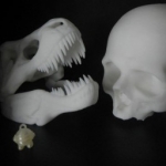 De activiteit 'Experimenteer in de bieb - demonstratie' van Bibliotheek Haarlem-Centrum wordt u aangeboden door dekleineladder.nl uit Haarlem