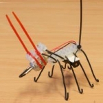 De activiteit 'Bibberbeestjes bouwen' van Bibliotheek Haarlem-Oost wordt u aangeboden door dekleineladder.nl uit Haarlem