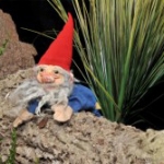 De activiteit 'Avonturen in het kabouterbos' van De Vertelschuur wordt u aangeboden door dekleineladder.nl uit Haarlem