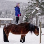 De activiteit 'IDFA junior op Tour + workshop' van Filmschuur wordt u aangeboden door dekleineladder.nl uit Haarlem