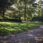 Kom spelen en ontdekken bij Stadskweektuin. De stadskweektuinen zijn een ideale plek om met je (kleine kind) heen te gaan. Er is een kinderboerderijtje, door de weeks zijn de kassen open met o.a mooie planten, vissen en schildpadden. Er is een ruine, speeltuintje en voor de kleintjes het kabouterpad. Ook erg leuk voor ouders.