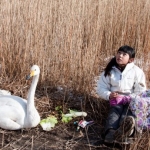 De activiteit 'Holly en de Zwaan' van Filmschuur wordt u aangeboden door dekleineladder.nl uit Haarlem