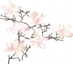 De activiteit 'Shiatsu Massage 4 Happy kids' van Shiatsu praktijk Inner-Qi wordt u aangeboden door dekleineladder.nl uit Haarlem