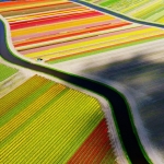 De activiteit 'Kunst en Vliegwerk: De wereld van boven (4+)' van Teylers Museum wordt u aangeboden door dekleineladder.nl uit Haarlem
