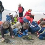 De activiteit 'Strandexcursie' van NP Zuid-Kennemerland | Parnassia wordt u aangeboden door dekleineladder.nl uit Haarlem