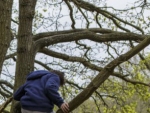 Struinen in de grote speelterreinen bij NP Zuid-Kennemerland | Bleek en Berg. Binnen de gebieden die aangeduid zijn als 'speelterrein' mag u buiten de paden. Hier kunt u naar hartelust struinen, picknicken of sporten. Kinderen kunnen er lekker klimmen en klauteren, pootje baden of hutten bouwen met losliggende takken. <br>van zonsopkomst tot zonsondergang zijn de duinen open.