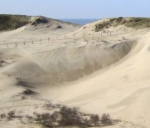 Struinen in de grote speelterreinen bij NP Zuid-Kennemerland | Parnassia. Binnen de gebieden die aangeduid zijn als 'speelterrein' mag u buiten de paden. Hier kunt u naar hartelust struinen, picknicken of sporten. Kinderen kunnen er lekker klimmen en klauteren, pootje baden of hutten bouwen met losliggende takken. <br>van zonsopkomst tot zonsondergang zijn de duinen open.