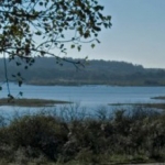 De activiteit 'IVN - Rondje Vogelmeer' van NP Zuid-Kennemerland | Parnassia wordt u aangeboden door dekleineladder.nl uit Haarlem