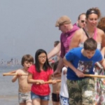 De activiteit 'Strandexcursie' van NP Zuid-Kennemerland | Parnassia wordt u aangeboden door dekleineladder.nl uit Haarlem