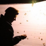 De activiteit 'Nachtvlindernacht' van NP Zuid-Kennemerland | Koevlak wordt u aangeboden door dekleineladder.nl uit Haarlem