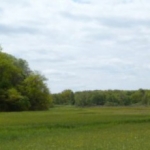 De activiteit 'IVN - Middenduin' van NP Zuid-Kennmerland | Middenduin ingang duinlustweg wordt u aangeboden door dekleineladder.nl uit Haarlem