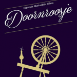 De activiteit 'Eigenwijs Musicalkids - Doornroosje' van Stadsschouwburg Velsen wordt u aangeboden door dekleineladder.nl uit Haarlem