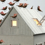 De activiteit 'Het geheim van de nachtegaal 6+' van Toneelschuur wordt u aangeboden door dekleineladder.nl uit Haarlem