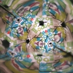 De activiteit 'Kunst en Vliegwerk: Workshop caleidoscoop' van Teylers Museum wordt u aangeboden door dekleineladder.nl uit Haarlem