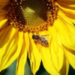 De activiteit 'Blij met de bij - kenniscafé' van Bibliotheek Haarlem-Centrum wordt u aangeboden door dekleineladder.nl uit Haarlem