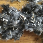 De activiteit 'Uilenballen pluizen' van Bezoekerscentrum De Kennemerduinen wordt u aangeboden door dekleineladder.nl uit Haarlem