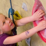 De activiteit 'Opendag Klimmuur Haarlem' van De Klimmuur Haarlem wordt u aangeboden door dekleineladder.nl uit Haarlem