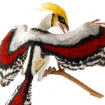 De activiteit 'Kunst en Vliegwerk - Kleurige oervogel' van Teylers Museum wordt u aangeboden door dekleineladder.nl uit Haarlem