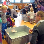 De activiteit 'Workshop Boot op stoom' van Teylers Museum wordt u aangeboden door dekleineladder.nl uit Haarlem
