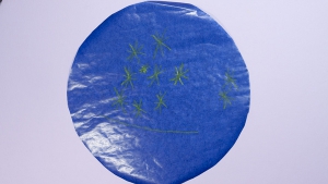 Laat je kind een mooie sterren tekening maken met wasco krijtjes