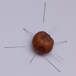 Prik de naalden in de kastanje