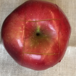 snij vervolgens aan de onderkant de appel ook nog eens 4 keer in