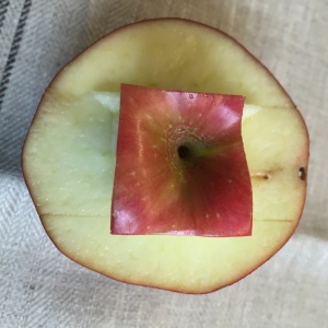 Haal voorzichtig de stukje appel weg en de basis ontstaat