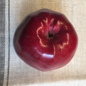 Poets je appel op zodat deze mooi gaat glimmen, of laat je kind de appel oppoetsen