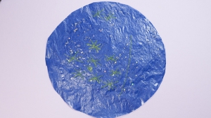 Daarna schilder je met glitterlijm de glitter op het vlieger papier