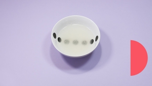 Voeg het poeder en het water samen en roer tot er een klont-vrije massa ontstaat