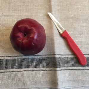 Dit heb je nodig om een appel om te toveren in een paddestoel, een lekkere en gezonde traktatie die ogen van de kinderen zal doen stralen.